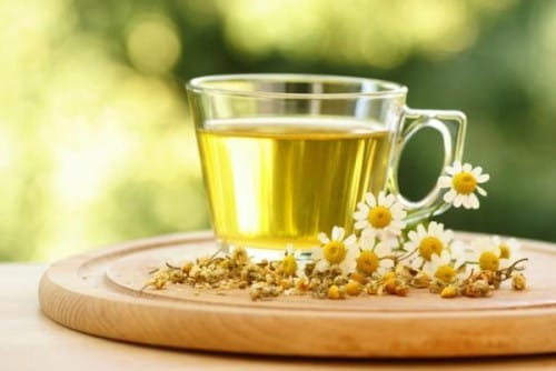Chás e Infusões Exclusivos para Combater Constipações em Plantas & Vitaminas Camomila