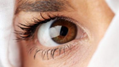 9 tipos de fobias mais comuns em Bem Estar Emocional 9 tipos de fobias mais comuns