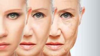 Antioxidantes Naturais: Os Melhores Segredos do Envelhecimento Saudável em Corpo Antioxidantes Naturais: Os Melhores Segredos do Envelhecimento Saudável