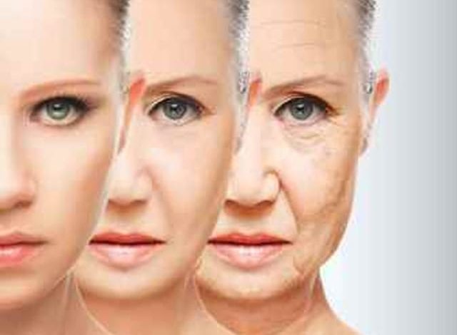 Antioxidantes Naturais: Os Melhores Segredos do Envelhecimento Saudável