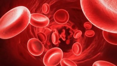 anemia ferropriva causas sintomas e tratamento wpp1660939544872