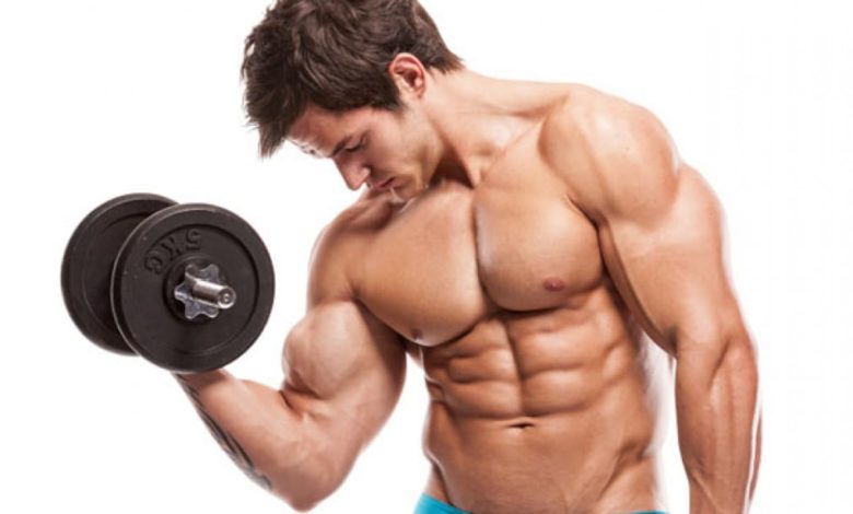 os melhores suplementos para definicao muscular
