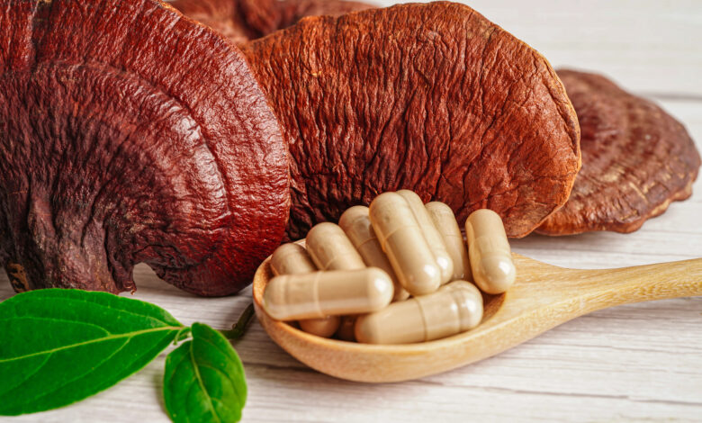Cogumelos Reishi: O Aliado Natural Para a Saúde e o Bem-Estar em Alimentação Cogumelos Reishi: O Aliado Natural Para a Saúde e o Bem-Estar