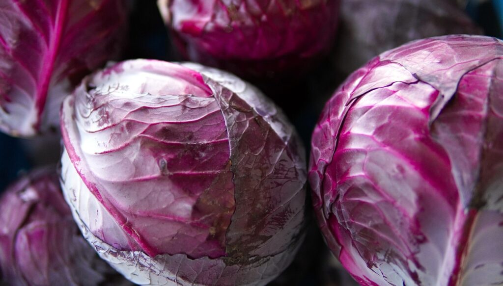 Descubra o Poder das Couves: Ricas em Ferro, Antioxidantes e Benefícios Incríveis para a Saúde em Vários Artigos Descubra o Poder das Couves: Ricas em Ferro, Antioxidantes e Benefícios Incríveis para a Saúde