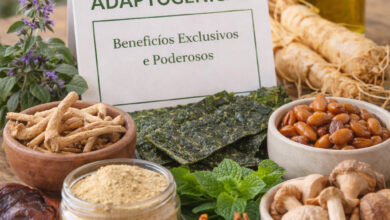 Plantas Adaptogénicas: Benefícios Exclusivos e Poderosos em Curas Naturais Plantas Adaptogénicas: Benefícios Exclusivos e Poderosos