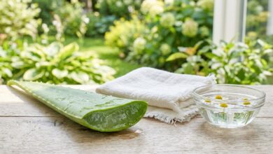Como Identificar Picadas de Insetos: Sintomas, Tratamentos Naturais e Sinais de Alerta em Corpo Folha de aloé vera cortada, pano branco e taça com água e flores de camomila sobre uma mesa de madeira